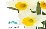 مسابقه کتابخوانی ویژه نیمه شعبان در برلین 